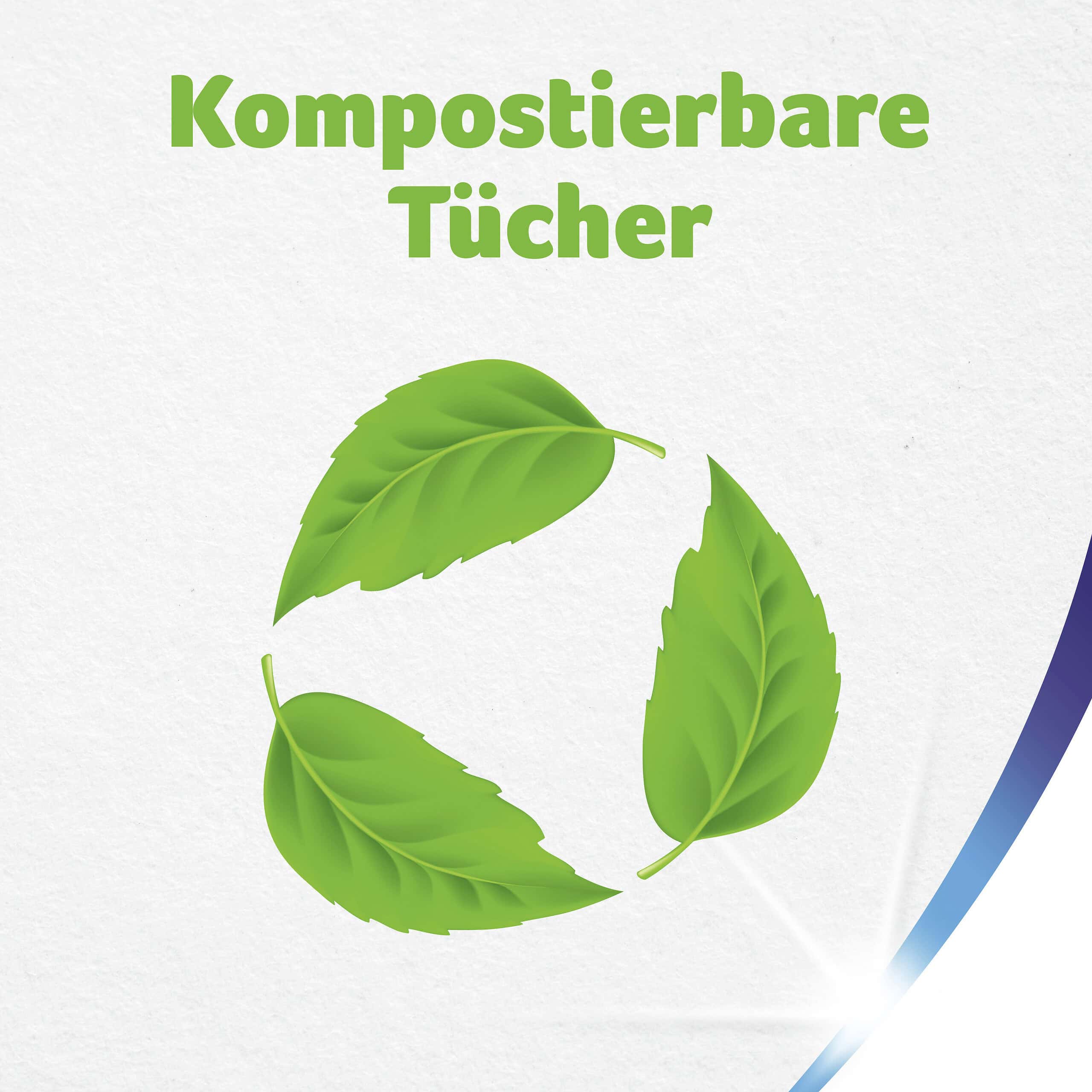 Zewa Wisch & Weg Original Küchenrollen 8 x 45 Blatt 2-lagig – Bild 3